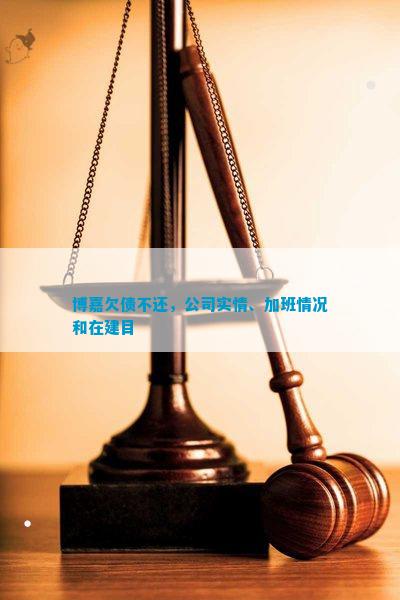 九游会·[j9]官方网站博嘉欠债不还公司实情、加班情况和在建目(图1)