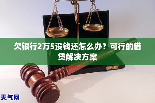 j9九游会欠银行2万5没钱还怎么办？可行的借贷解决方案(图1)